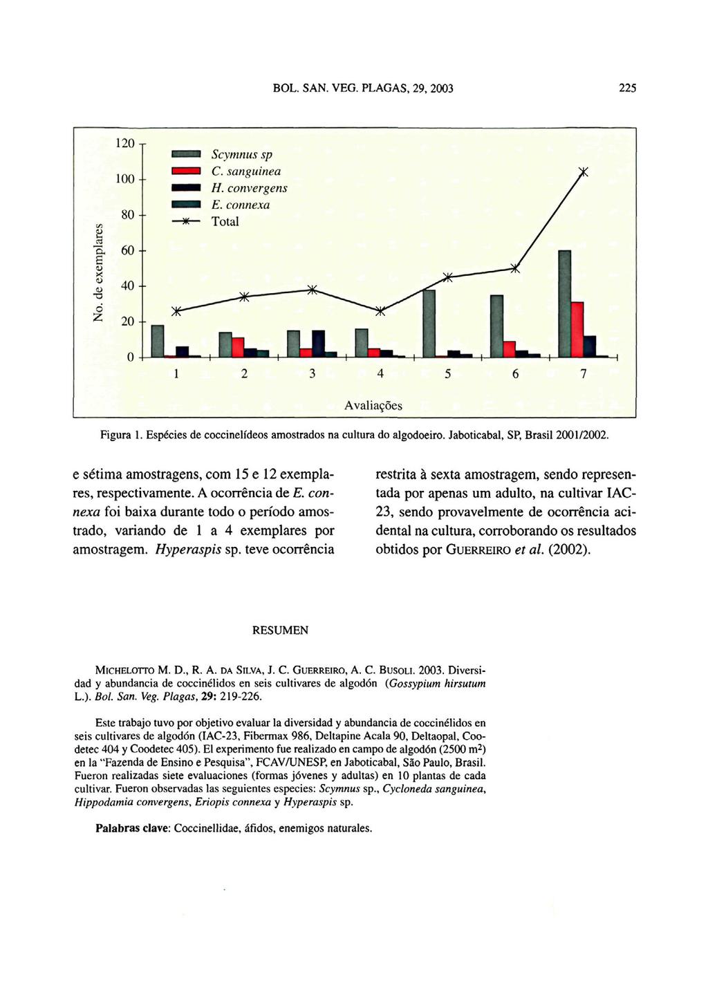 Figura 1. Espécies de coccinelídeos amostrados na cultura do algodoeiro. Jaboticabal, SP, Brasil 2001/2002. e sétima amostragens, corn 15 e 12 exemplares, respectivamente. A ocorrência de E.