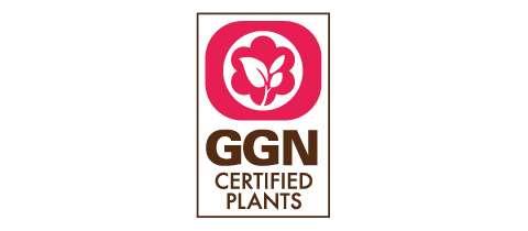 GGN Label As Flores e plantas certificadas podem ser rotuladas com o logo GGN Certified Plants. O logotipo leva o consumidor ao portal online de plantas certificadas www.ggn.