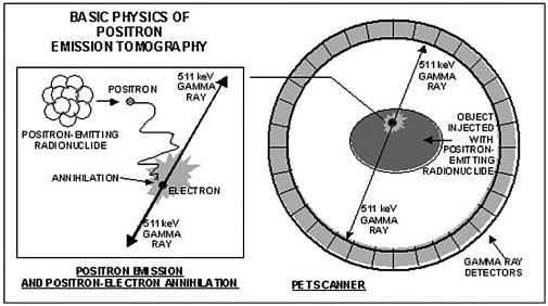 58 CAPÍTULO 4 PET UMA NOVA FASE DA MEDICINA NUCLEAR 4.