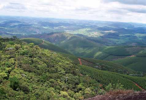 2.2. RESERVA LEGAL Área que deve ser preservada dentro da propriedade e deve ser no mínimo 20% da área total.