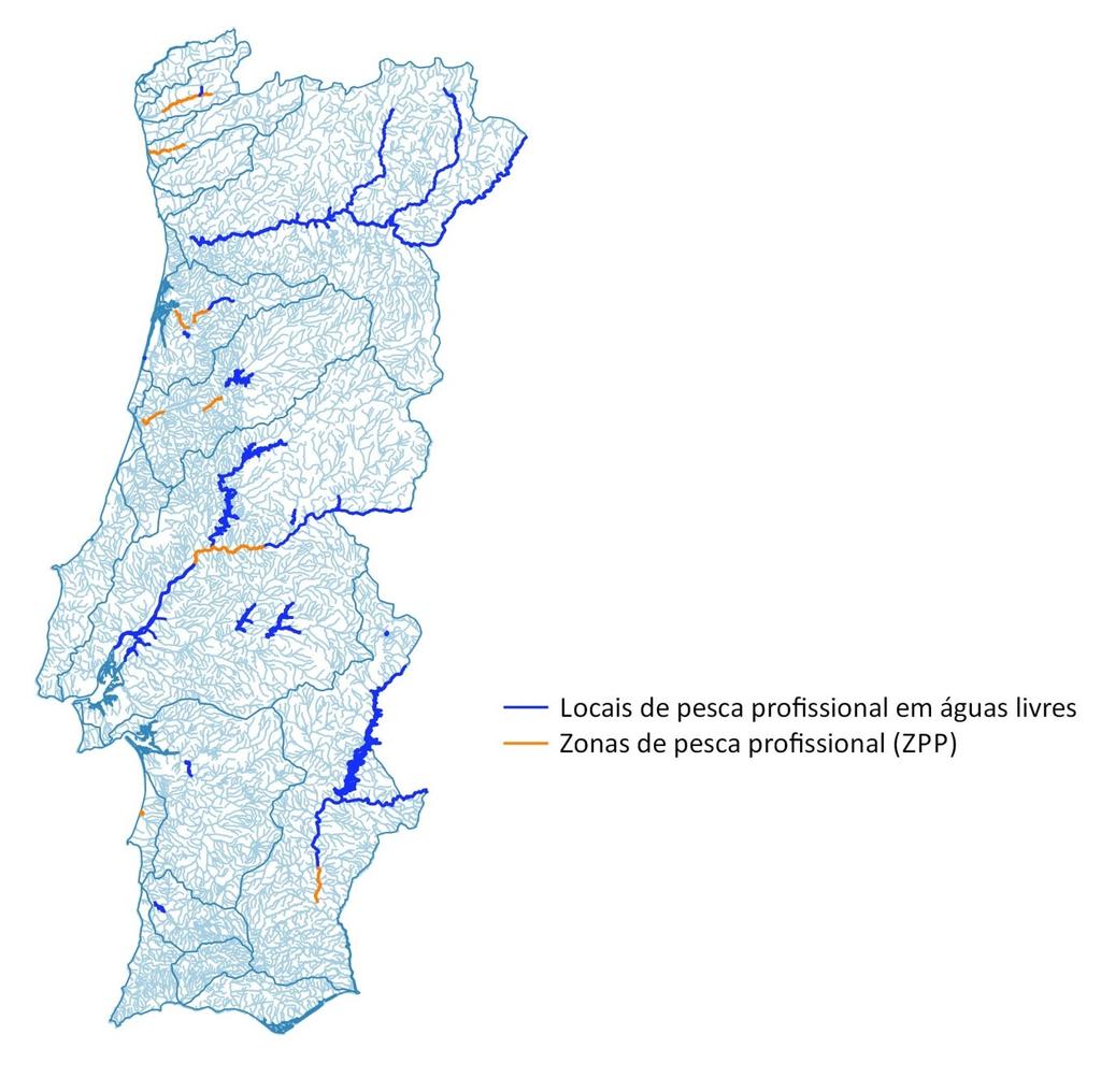 ORDENAMENTO - PESCA PROFISSIONAL A pesca profissional só pode ser exercida: Nas zonas de