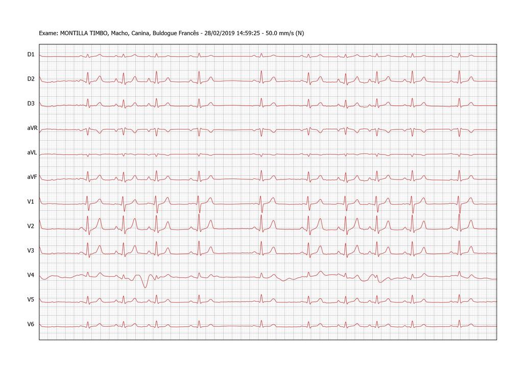 Análise Clínica No.001047292 Idade...: 6 Mes(es) 24 Dia(s) MICROCHIP/RG.