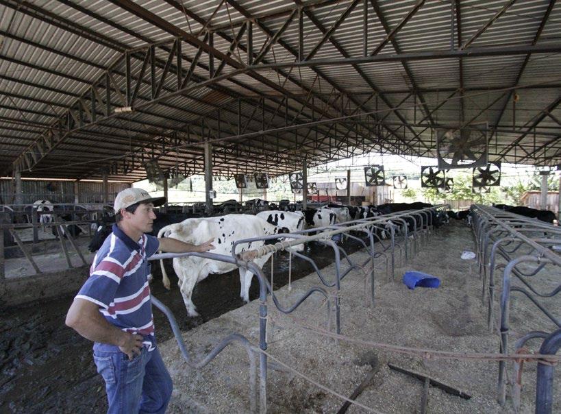 utilizo sem ter problemas, classifico como muito boa e é possível notar na produção e na sanidade dos animais, por isso, a ideia é não trocar.