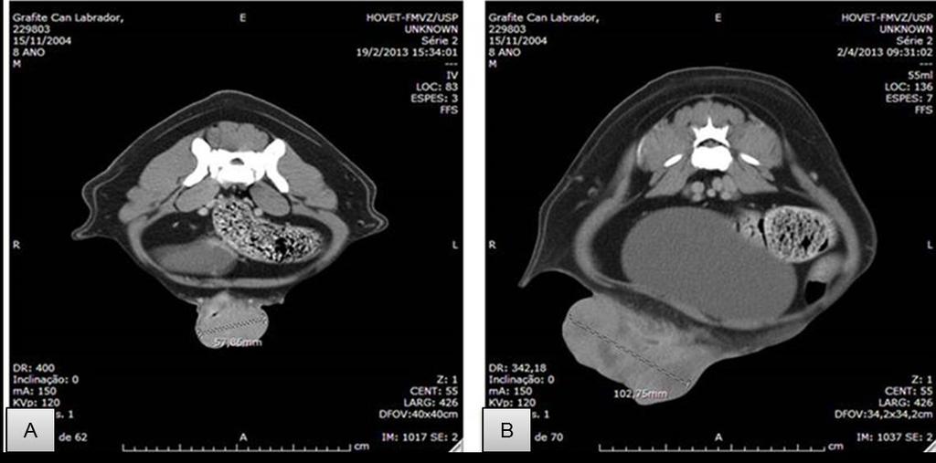 88 RESULTADOS Figura 4 - Imagens de tomografia computadorizada, em corte transversal do cão C23 Legenda: A) maior diâmetro da lesão antes do início do tratamento.