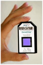 Processamento da Imagem Capacidade: 96 chips