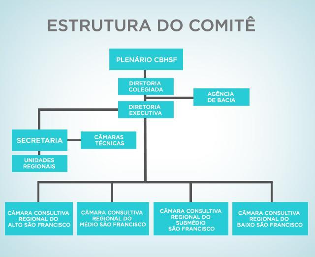 Figura 7 Estrutura do CBHSF Fonte: Comitê da Bacia Hidrográfica do Rio São Francisco, 20