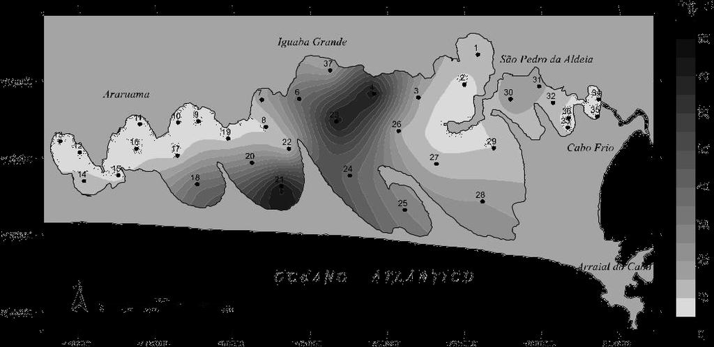 Figura 7 Distribuição do nitrito na água intersticial dos sedimentos da Laguna de Araruama. Figura 8 Distribuição do amônio na água intersticial dos sedimentos da Laguna de Araruama.