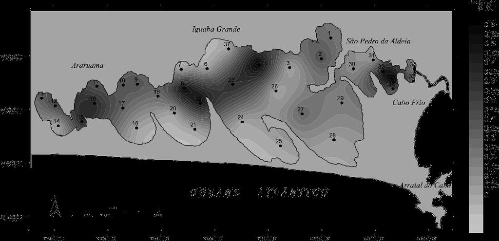Figura 9 Distribuição do nitrogênio total nos sedimentos da Laguna de Araruama.