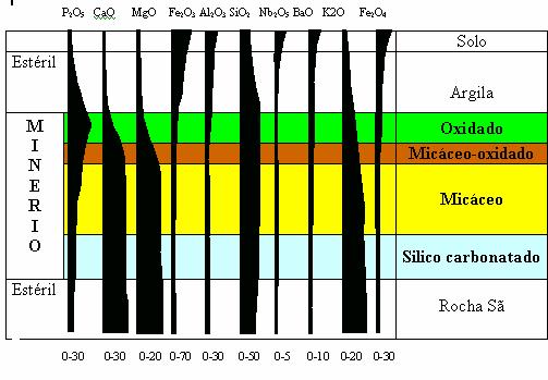 52 dominante sobre dolomita e magnesita eventual. Apresenta apatita, magnetita, flogopita e sulfetos como acessórios. Figura 3.22 Características químicas dos minérios de Catalão-GO (FOSFERTIL, 2004).