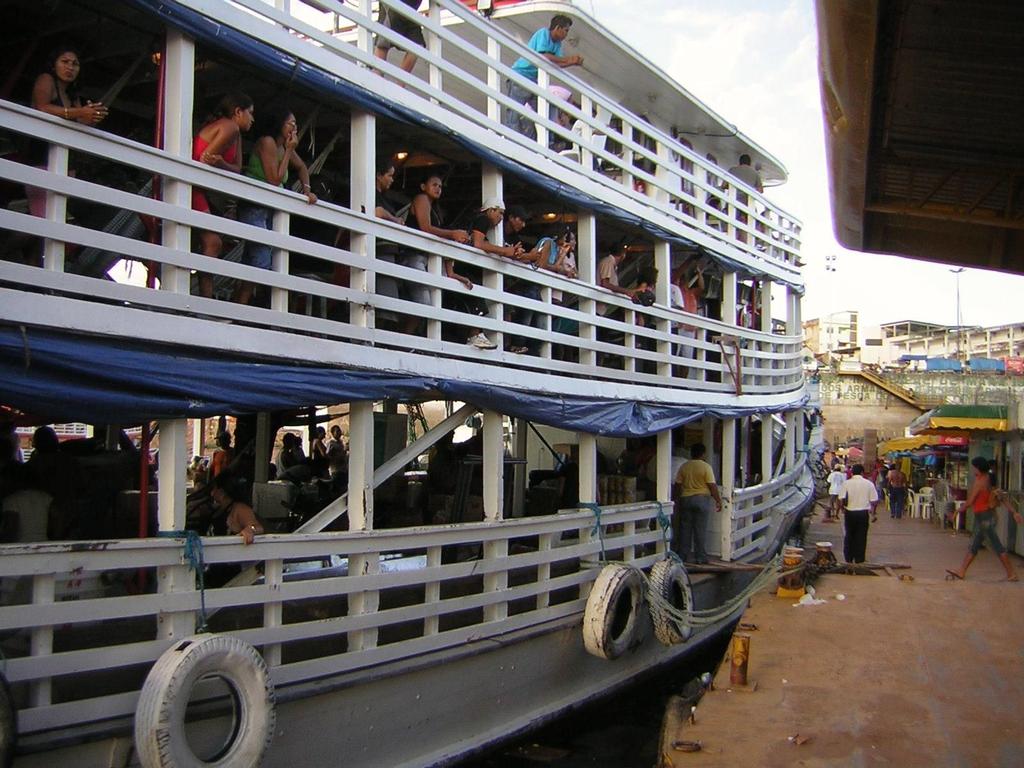 Mudas da Amazônia