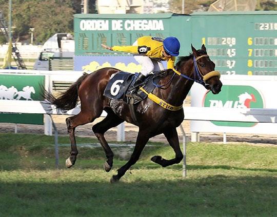 000,00 1-ETRUSCA, f, 3, Drosselmeyer (Ire) e Nouvelle Cruise, por Broad Brush P-Globo C-TNT T-D. Guignoni J-A.