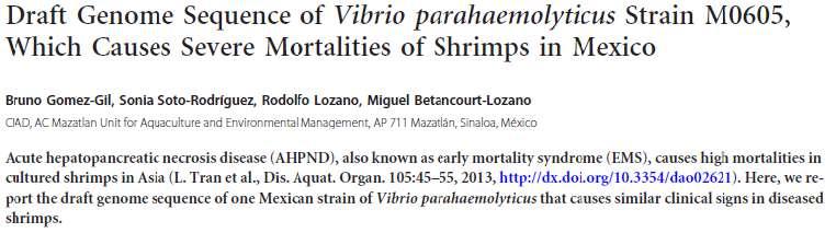 AHPND Vibrio parahaemolyticus Caracterização e sequenciamento da cepa