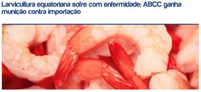 O fornecimento local de pós-larva enfrenta um sério problema sanitário, que estaria dizimando a produção de