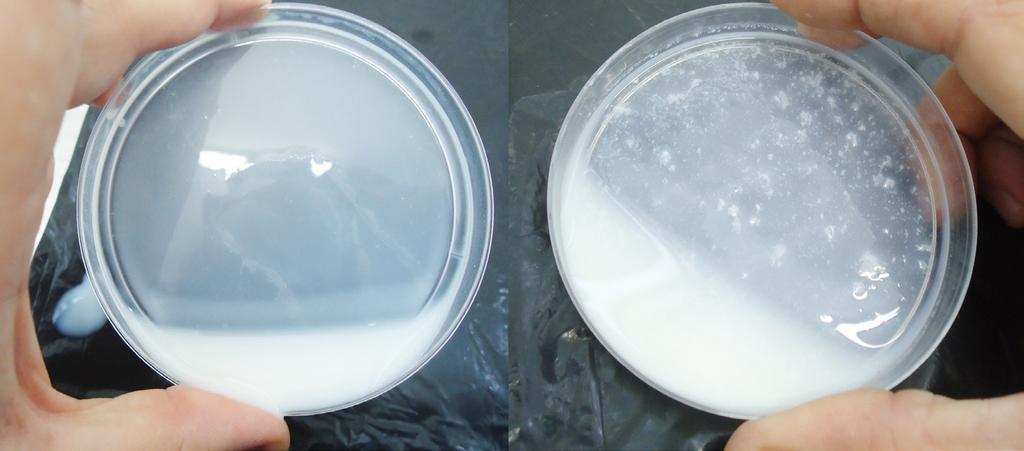 4 Foto: Maira Zanela Figura 3. Leite normal (esquerda) e leite instável (direita).