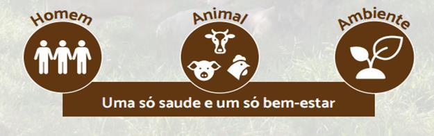 Expressando a harmonia: Homem, animal e o meio ambiente Homem,