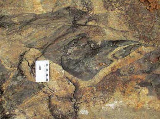 (2006) e Souza (2009) o granitoide Ritápolis envolve uma grande diversidade de tipos faciológicos e petrográficos (granitos, tonalitos e granodioritos), bem como corresponde ao último pulso magmático