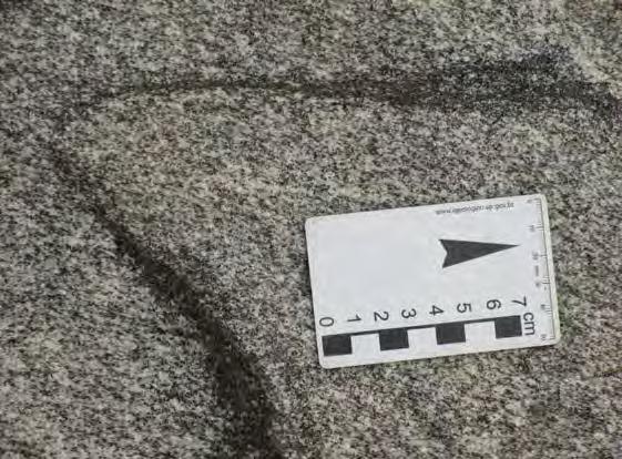 Figura 115 - Schlieren biotítico alongado e curvilíneo observado em granitóide fino a médio correlacionado ao