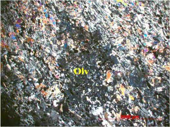 Figura 28 Visão geral evidenciando a sombra de um pseudomorfo de olivina (Olv) substituído por serpentina, envolto por clorita e tramolita e alterado intempericamente. Lâmina GR-32A Nicóis cruzados.