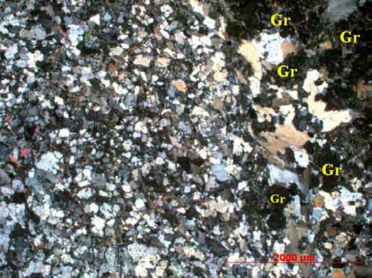 Essas amostras são mesocráticas (com cerca de 40% de minerais máficos), apresentam composição tonalitica e granulação