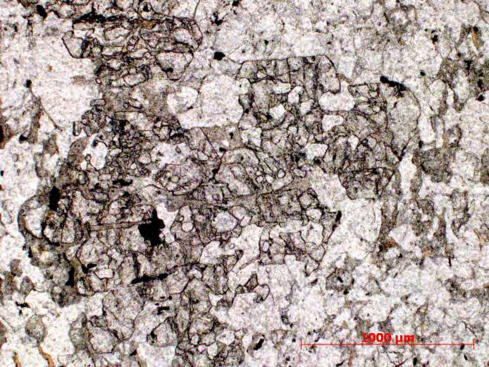 No mapa confeccionado o ortognaisse granodiorítico apresenta-se como um stock alongado com direção NE-SW englobando xenólitos de rochas metassedimentares associadas à unidade metavulcanossedimentar