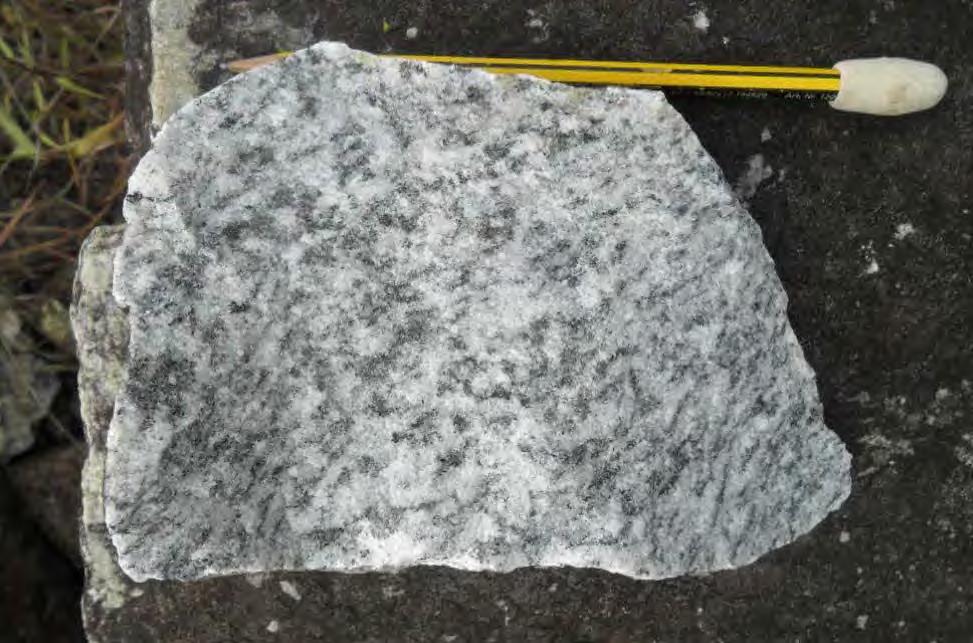 biotita e as fitas de minerais félsicos, incluindo quartzo e feldspato. (Ponto GR-107).