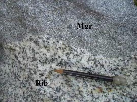 Figura 54 Contato sinuoso e irregular entre o ortognaisse granodiorítico Ribeirão dos Mosquitos (Rib) e um metagranitoide (Mgr) leucocrático fino (Ponto GR-56).