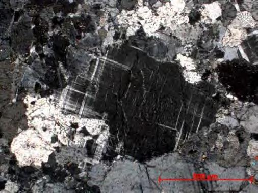 (metamórfica) ocorre em cristais xenoblásticos menores que 0,3mm com geminação tartan que aparecem estar substituindo o