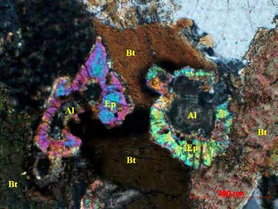 Os grãos de epidoto variam de idioblásticos a xenoblástico e foram separados em três grupos, em decorrência do mineral que eles aparecem substituindo.