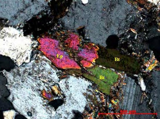 Bt biotita; Ep epidoto. Lâmina GR-48 Nicóis cruzados.