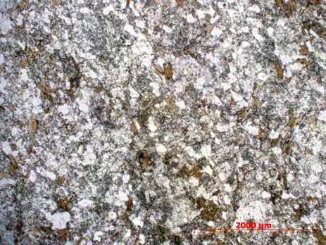 Estes são hipidiomórficos, menores que 0,5mm, raramente substituidos por minerais secundários e apresentam-se orientados marcando uma leve foliação na rocha.