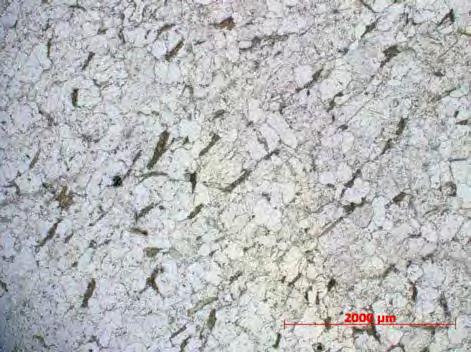 Destaca-se a orientação dos cristais de biotita. Nicóis cruzados e paralelos.