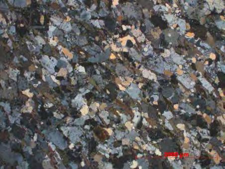 amostra GR-56C foi diferenciada das rochas do mesmo, apenas por sua possível composição tonalítica, enquanto que a