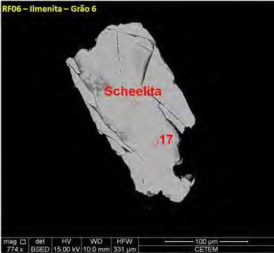 A B C F Figura 95 Cristais de ilmenita com inclusões de scheelita (Figura 95A) e zircão (Figura 95B) e substituição para titanita