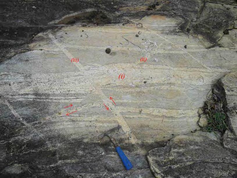 Figura 110 Afloramento do granitoide Ritápolis onde as rochas do mesmo são cortadas por diversas injeções pegmatíticas.