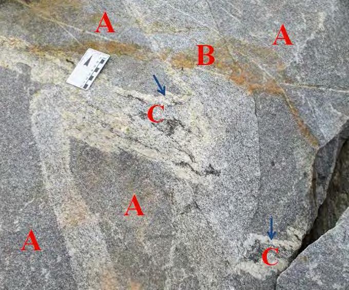 distintos de granitoides com índices de cor em torno de 10%: I) granitoide fino a médio com textura inequigranular porfirítica ou seriada; II) granitoide fino com textura equigranular.