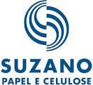 da receita) e em contrapartida a Ibema deverá assumir uma divida de R$ 42 mm da Suzano; ao fim da operação 49,9% da empresa deverá pertencer a Suzano.