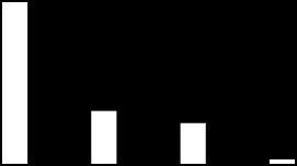 Gross Revenue Gross Volume (pairs and pieces/thousand) - quarter Gross Volume (pairs and pieces/thousand) - half year 3,666 3,228 2Q17 2Q18 7,140 6,671 1,199 1,176 936 958 2,700 2,398 1,785 1,673 94