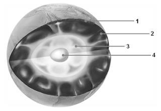 A imagem corresponde as questões 6 a 9: 6) O número um 1 corresponde: (0,5 pontos) a) ao núcleo líquido da Terra b) ao núcleo sólido da Terra c) ao manto terrestre d) a crosta terrestre.