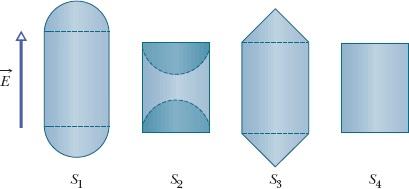 As formas das bases são as seguintes: S 1, hemisférios convexos; S 2, hemisférios côncavos; S 3, cones; S 4, discos planos.
