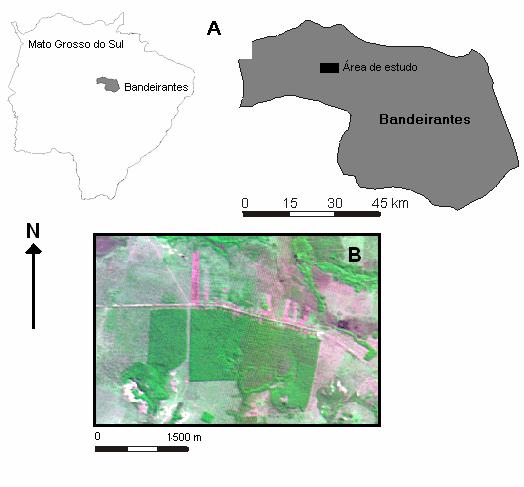5 Figura 1. Localização geográfica do Assentamento Barreirinho Flores, município de Bandeirantes, MS (A).
