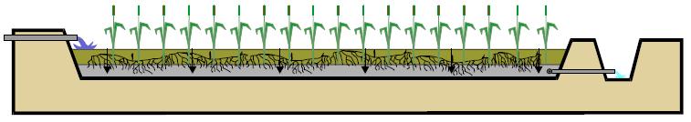 Os sistemas de fluxo vertical são de superfície plana, preenchidos com materiais inertes (comumente areia e brita), no qual os efluentes são lançados sobre toda a superfície e posteriormente são