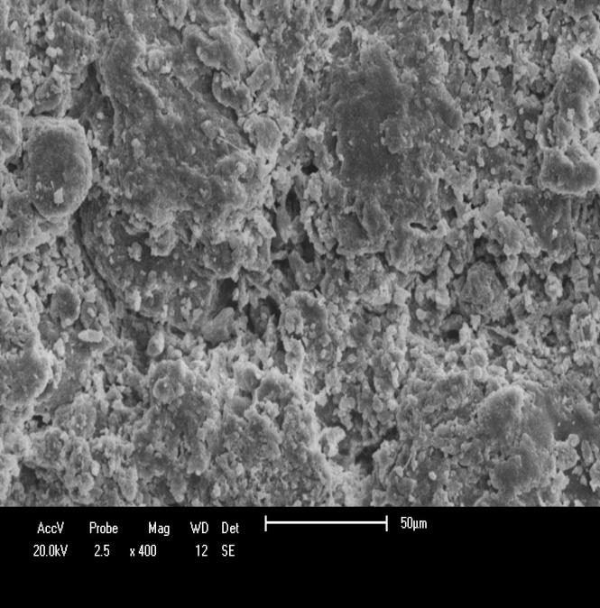 Figura 8: Micrografia do corpo de prova preparado a partir da formulação F20 ampliado 40