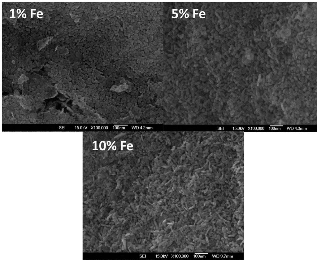 Figura 4.5: Imagens de MEV das amostras de NiO dopadas com Fe sintetizadas a 450ºC durante 3 horas.