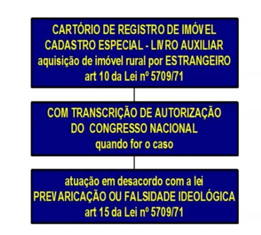 protocolado no Registro competente, e que tiverem sido cadastradas no INCRA em nome do promitente comprador, antes de 10 de março de 1969; III - quando o adquirente tiver filho brasileiro ou for