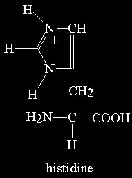O que acontece quando o aminoácido tem um radial que também pode