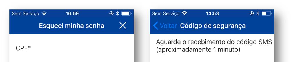 Esqueci minha senha 1. Clique em Esqueci minha senha na tela de login (Fig. 9) 2. Preencha os dados solicitados e clique em Próximo (Fig. 13) 3.