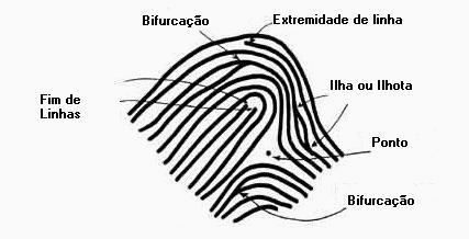 Autenticação de fingerprints Pedro Ribeiro Mendes Júnior, Antonio Carlos de Nazaré Júnior, David Menotti Departamento de Computação Universidade Federal de Ouro Preto pedrormjunior@gmail.