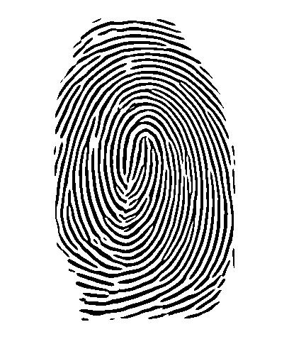 amostras de fingerprint devido à presença de ruído nas outras etapas do processamento da imagem e diminuem a precisão e desempenho da autenticação das fingerprints.