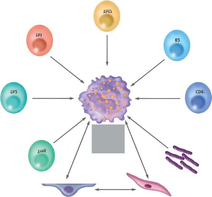 JACC Vol. 72, No. 17, 2018 23 de outubro de 2018: 2071-81 Libby et al.