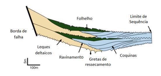 retrabalhamento das conchas e acumulação das mesmas em barras de coquinas e depósitos praiais (Figura 6).